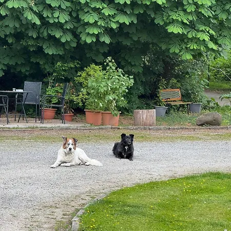 Zimmervermietung Russ * Equord