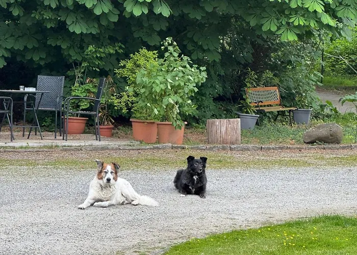 Zimmervermietung Russ * Equord